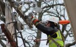 Mille Lacs Energy Cooperative